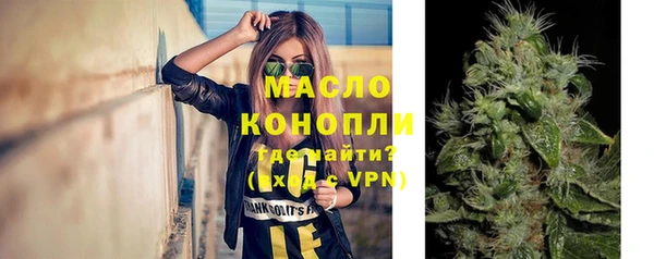 молекула духа Сясьстрой