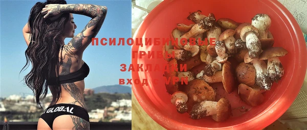 первитин Каменногорск