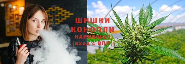 метадон Каменка