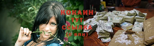 винт Каменск-Шахтинский